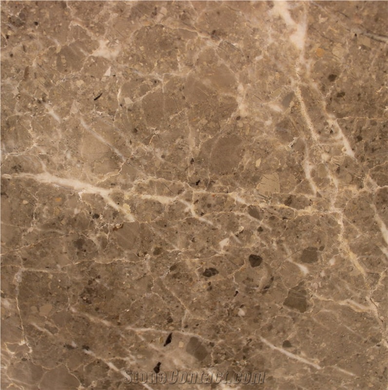 Olive Marine Marble Tile