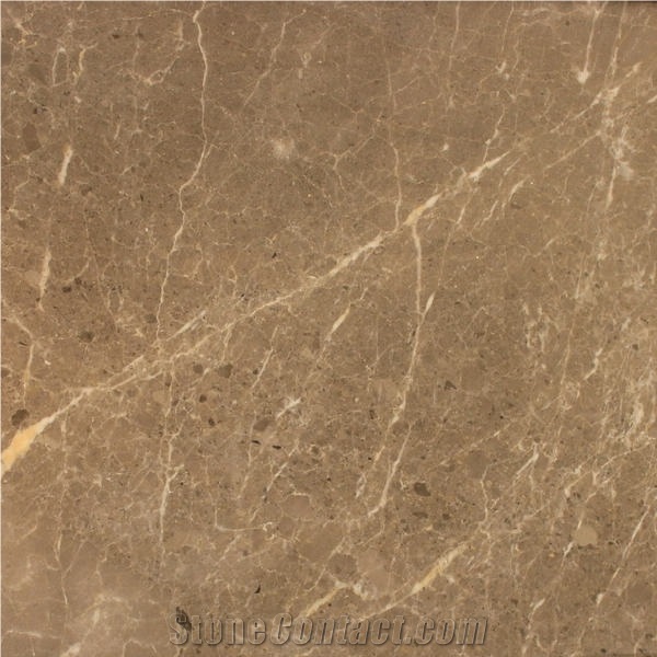 Olive Marine Marble Tile