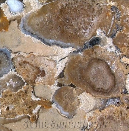 Olivillo Travertine Tile