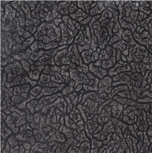 Oracle Marble