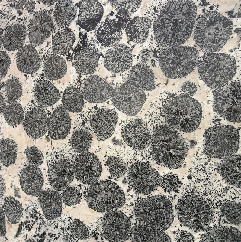 Orbicular Limestone importance=