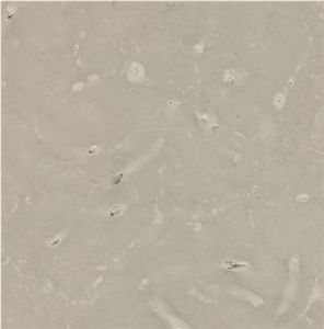 Orgita Limestone