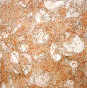 Orient Fossil Limestone