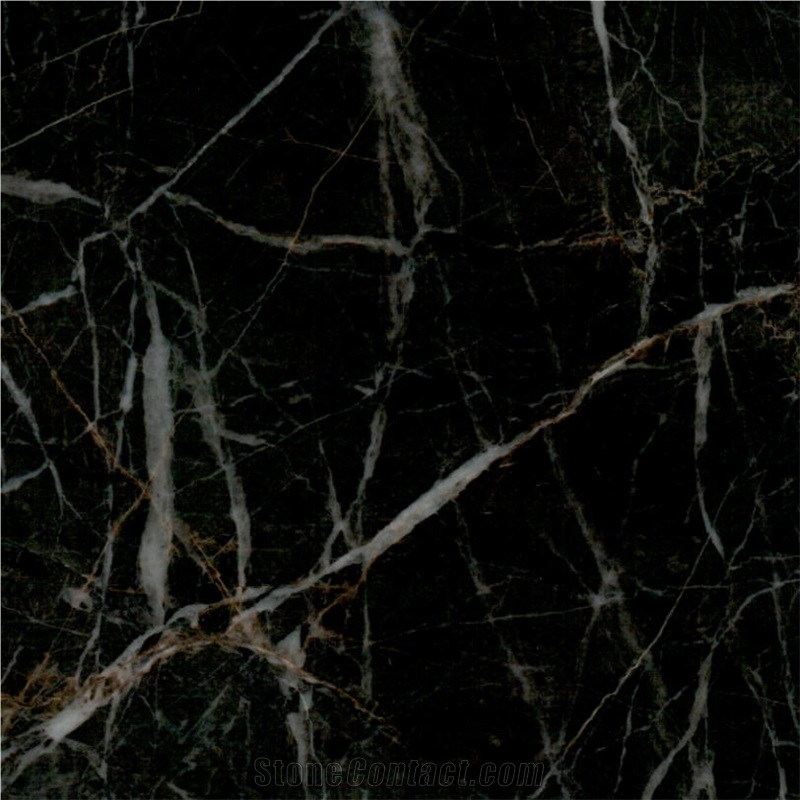 Oro Venato Marble Tile