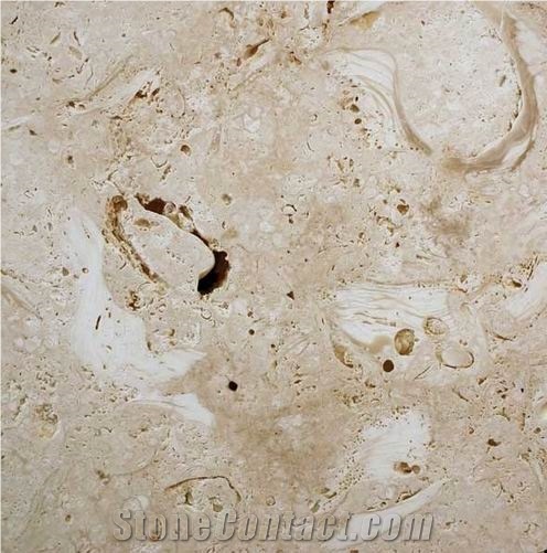 Ostra Shellstone importance=