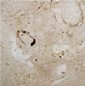 Ostra Shellstone