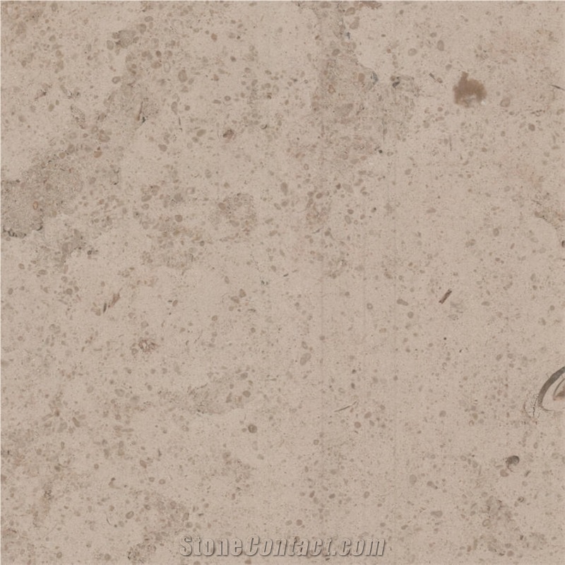 Pachuca Limestone importance=