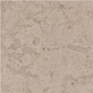 Pachuca Limestone Tile