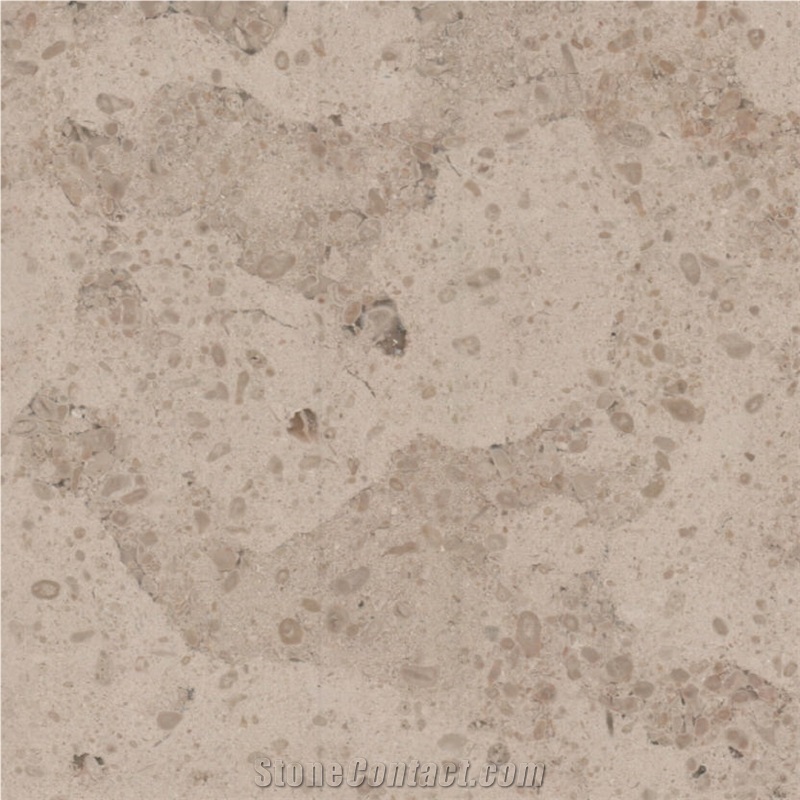 Pachuca Limestone Tile