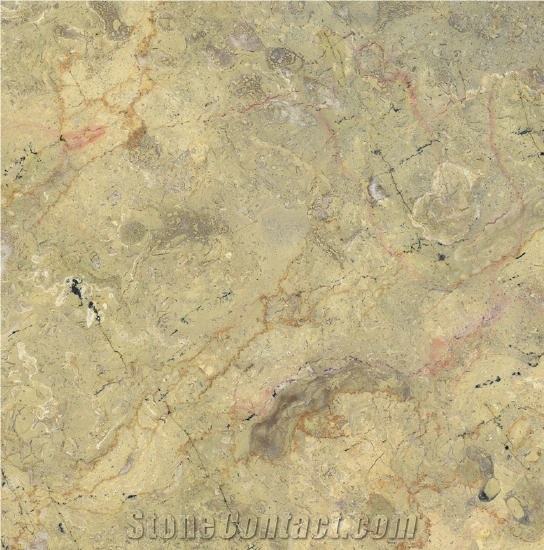Pakistan Champagne Limestone importance=