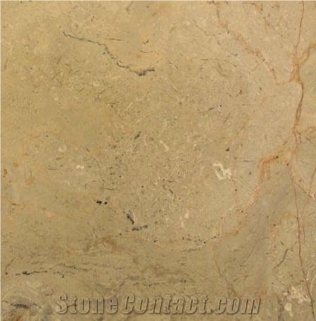 Pakistan Champagne Limestone Tile