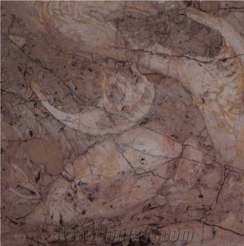Pakistan Fossil Marble importance=