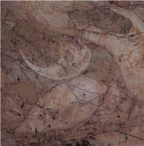 Pakistan Fossil Marble