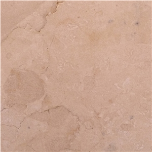 Palmyra Creme Marble