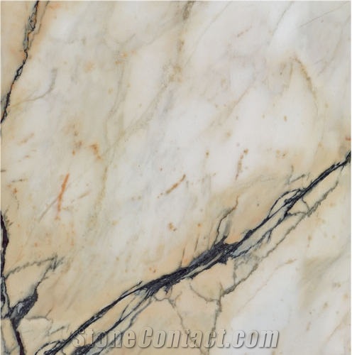 Paonazzeto Marble importance=