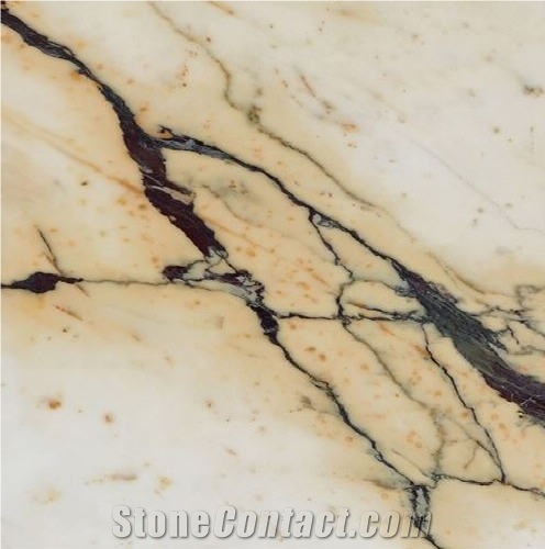 Paonazzeto Marble Tile