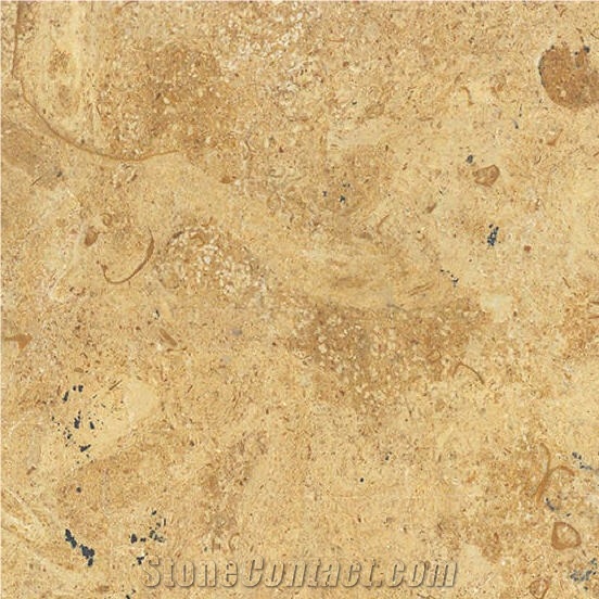 Paradise Limestone importance=