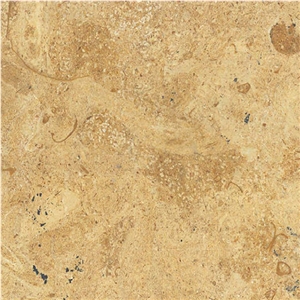 Paradise Limestone