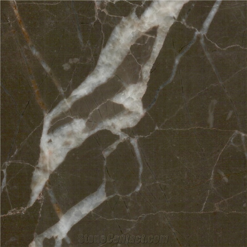 Pasa Grey Marble Tile