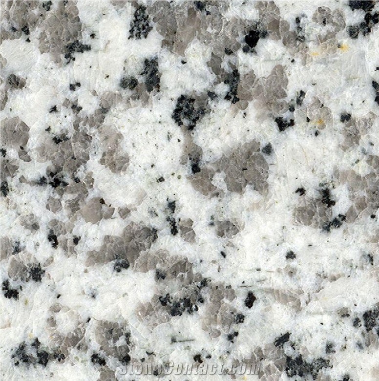 Pauline Grey Granite importance=