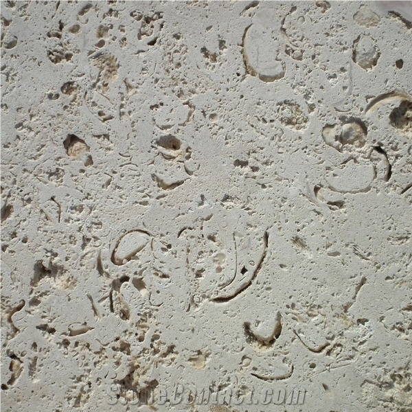 Pedra Fosil Limestone Tile