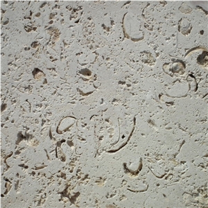 Pedra Fosil Limestone Tile