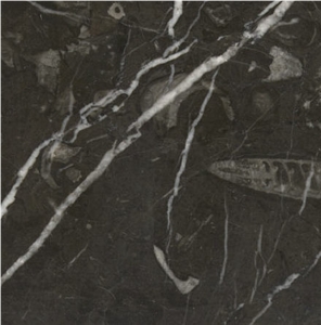 Pella Black