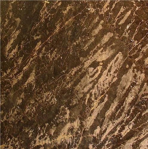 Pelle Di Leopardo importance=