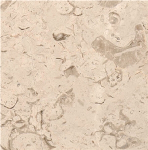 Penuela Limestone