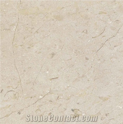 Perlato Limestone importance=
