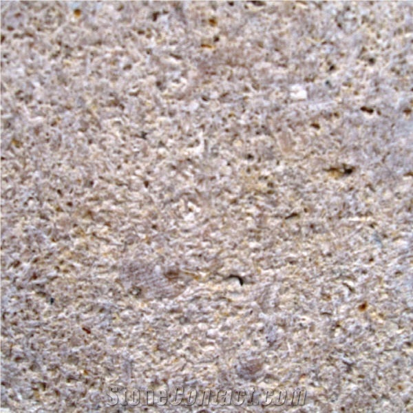 Permian Sea Coral importance=