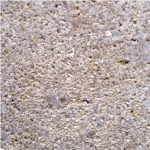 Permian Sea Coral