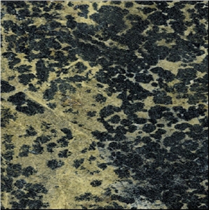 Persian Green Granite