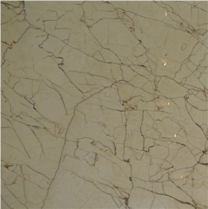 Persian Spider Marble Tile