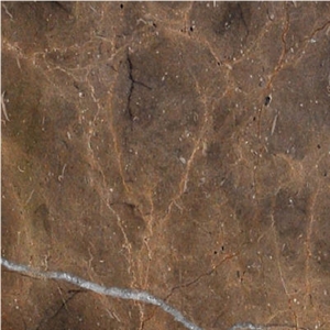 Petra Brown Light Marble
