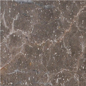 Petra Brown Marble