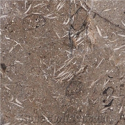 Petra Fossil Marble importance=