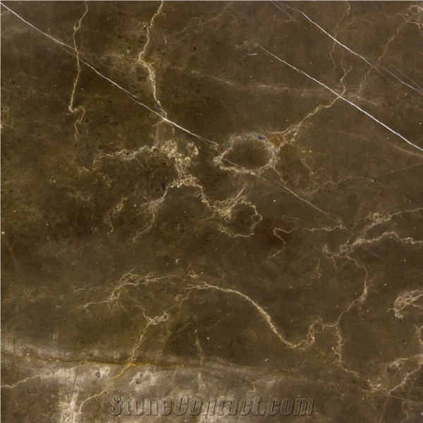 Pietra Brown Tile