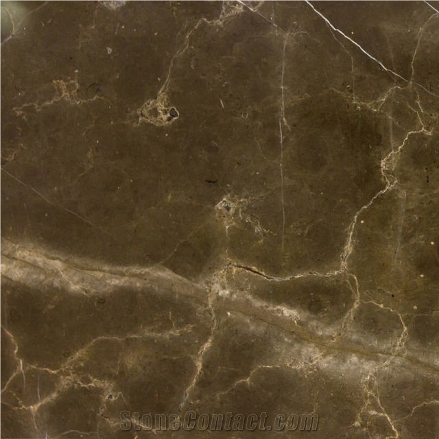 Pietra Brown Tile