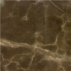 Pietra Brown Tile