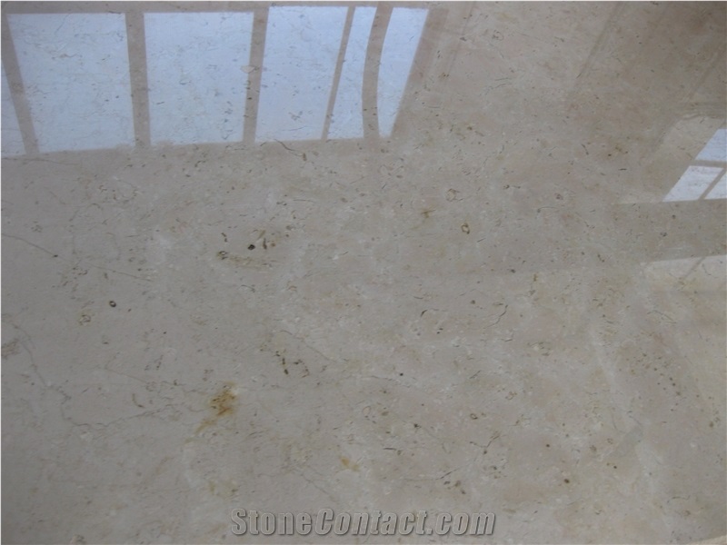 Pietra di Trani Coriaccio Finished Product