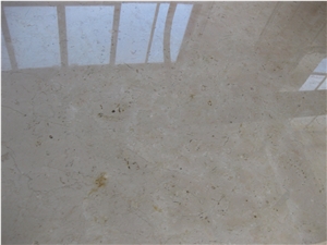 Pietra di Trani Coriaccio Finished Product