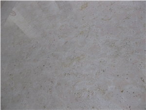 Pietra di Trani Coriaccio Slab