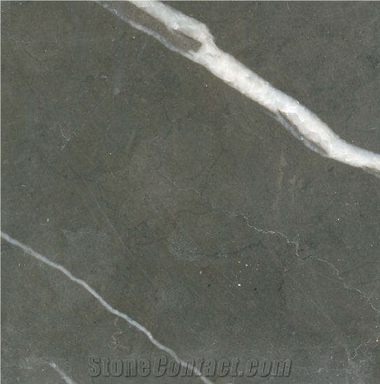 Pietra Gray Marble Tile
