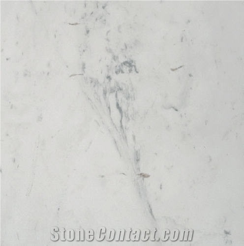 Pighes Semi White importance=