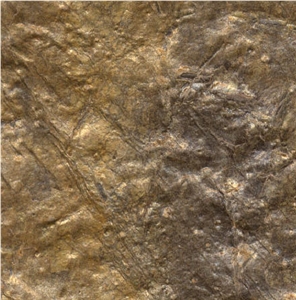 Pillarguri Rust Phyllite