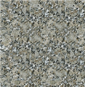 Pine Green Granite Tile