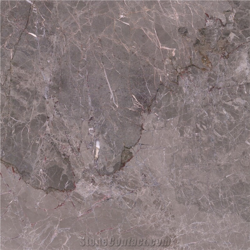 Pisa Grey Marble importance=