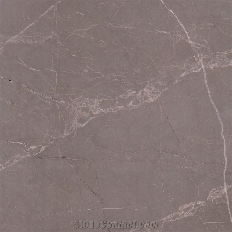Pisa Grey Marble Tile
