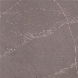 Pisa Grey Marble Tile